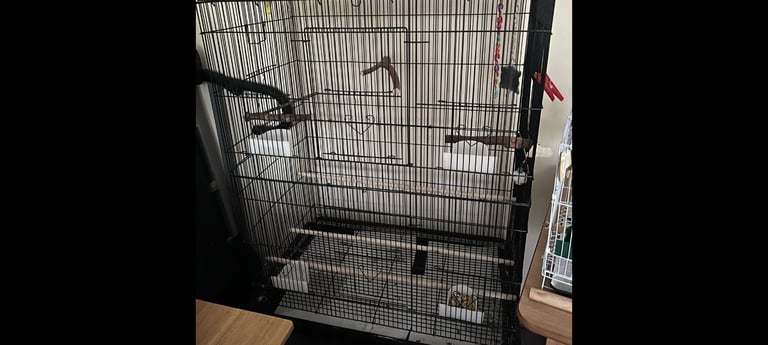 Large black bird cage 