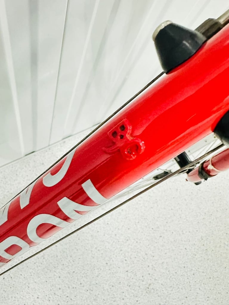 CAMEROON BESPOKE Road Bike Brand New 54 cm Reynolds Tubing 