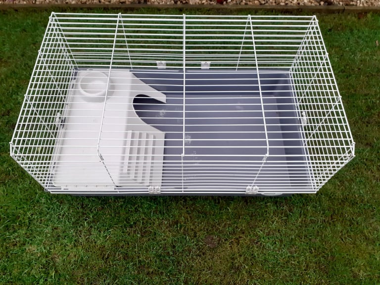 Indoor Guinea Pig Cage
