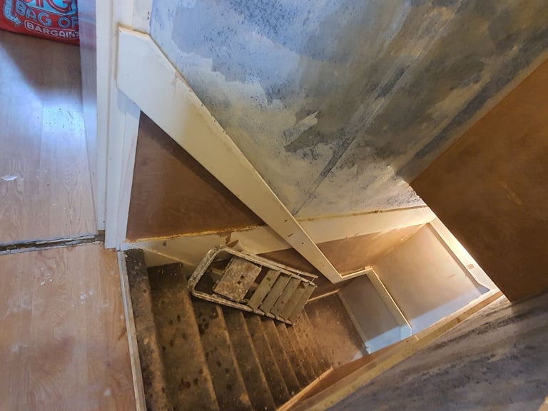 image for Painting & plastering services ...