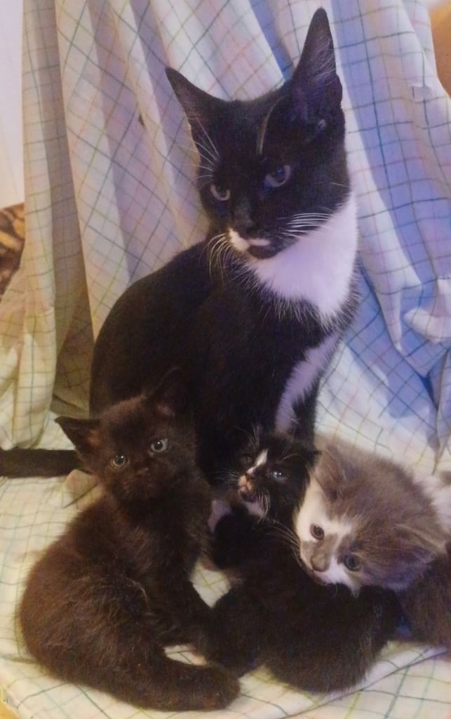 image for New home needed