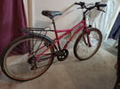 Teens/Small Adult Raleigh bike