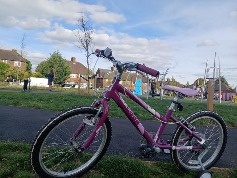 Children Bicycle (Cuda Mayhem)