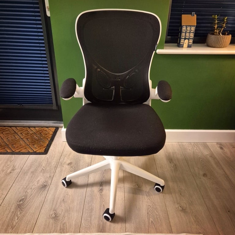 Ergonomic office chair 