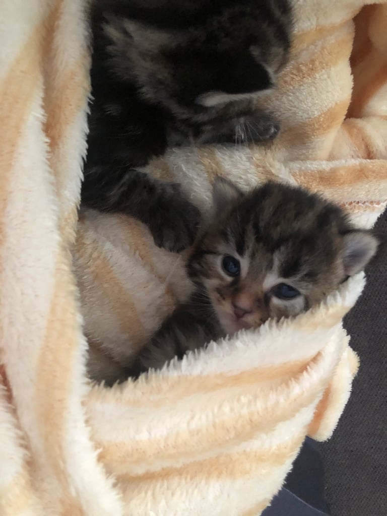 Ready to leave now !!!!!