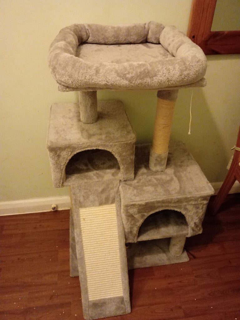 image for Kitten cat house