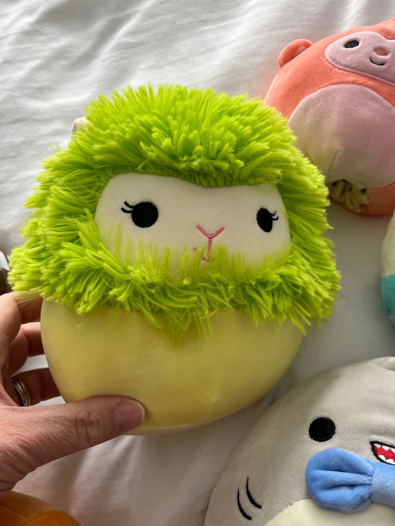 6 official Squishmallows bundle