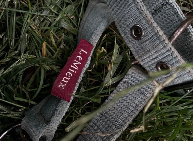 LeMieux HORSE HEAD COLLAR 