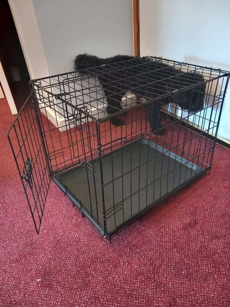 Dog crate/ bed