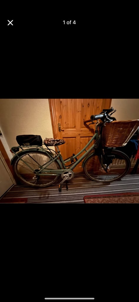 Ridgeback electric bike