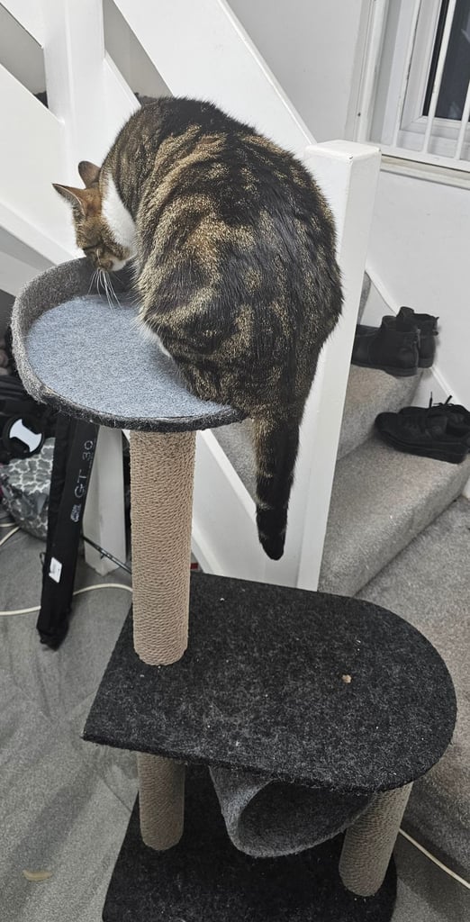Cat Scratch Post