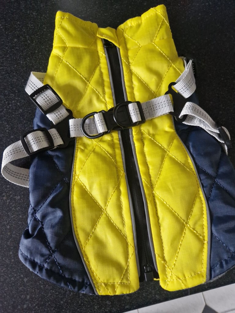 Brand new dog coat