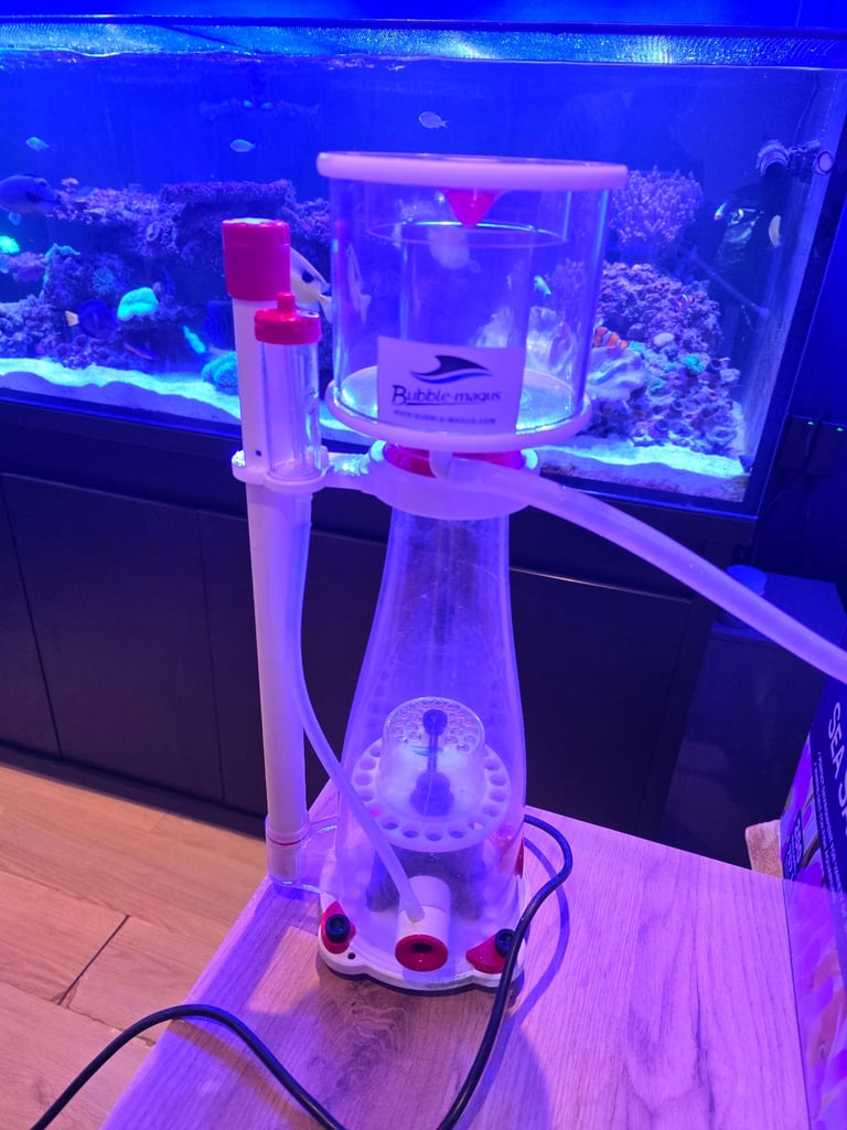 Bubble magus curve 5