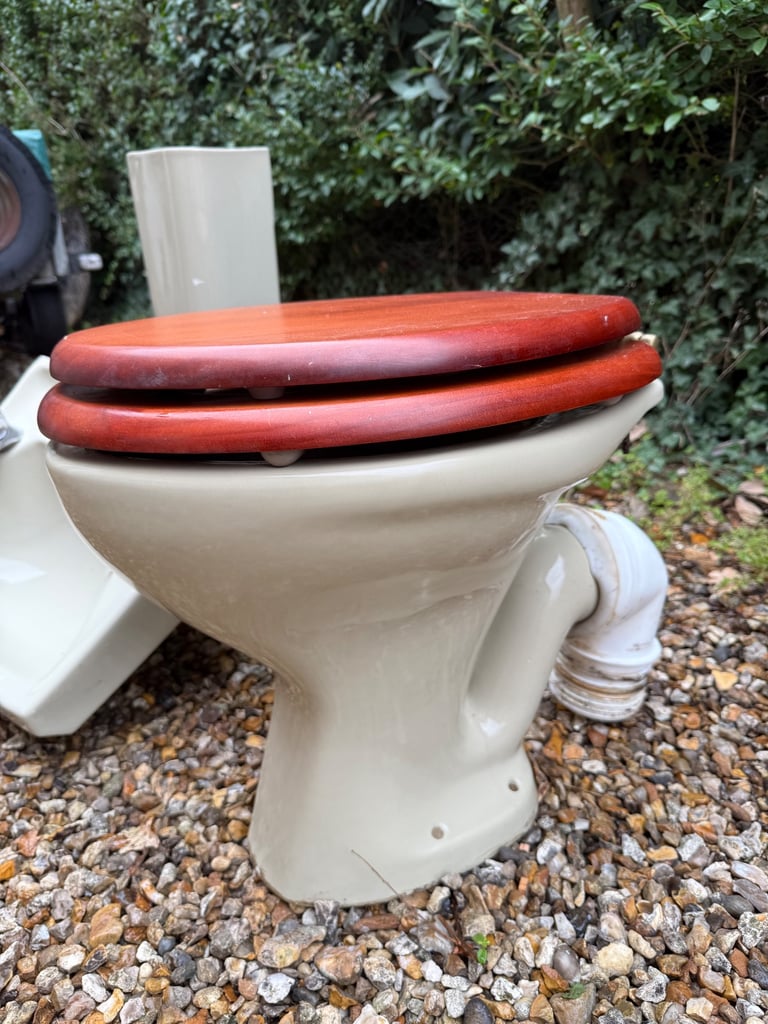 Avocado toilet and sink