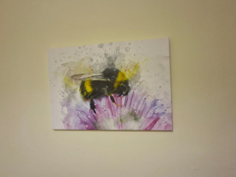 2x bee canvases 