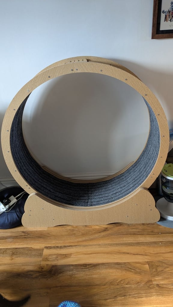 image for Cat Wheel 