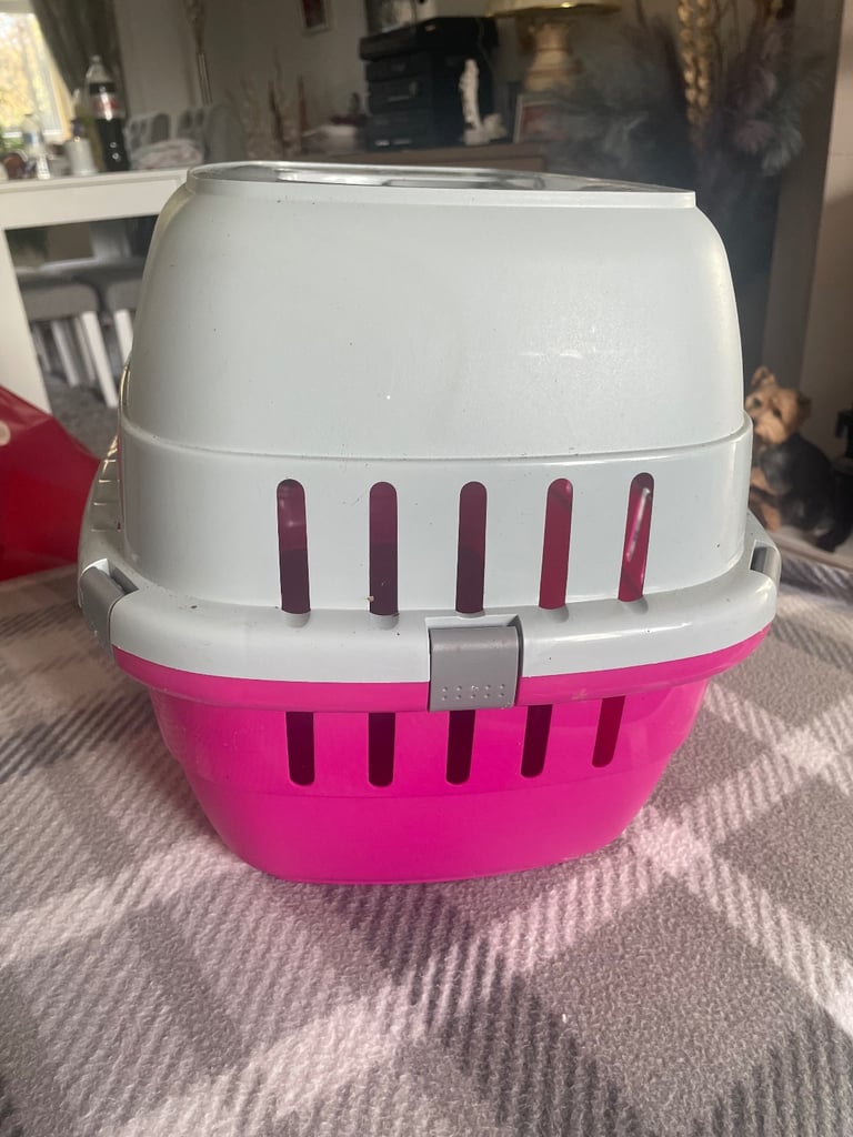 Small pet carrier