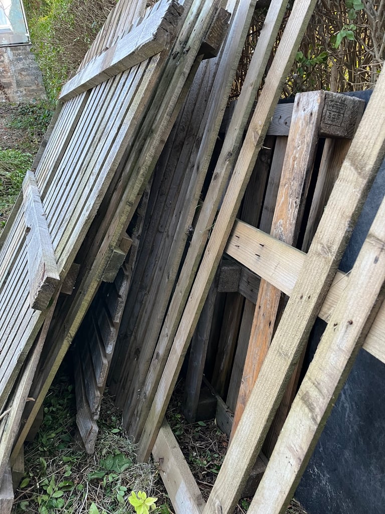 Garden fence 