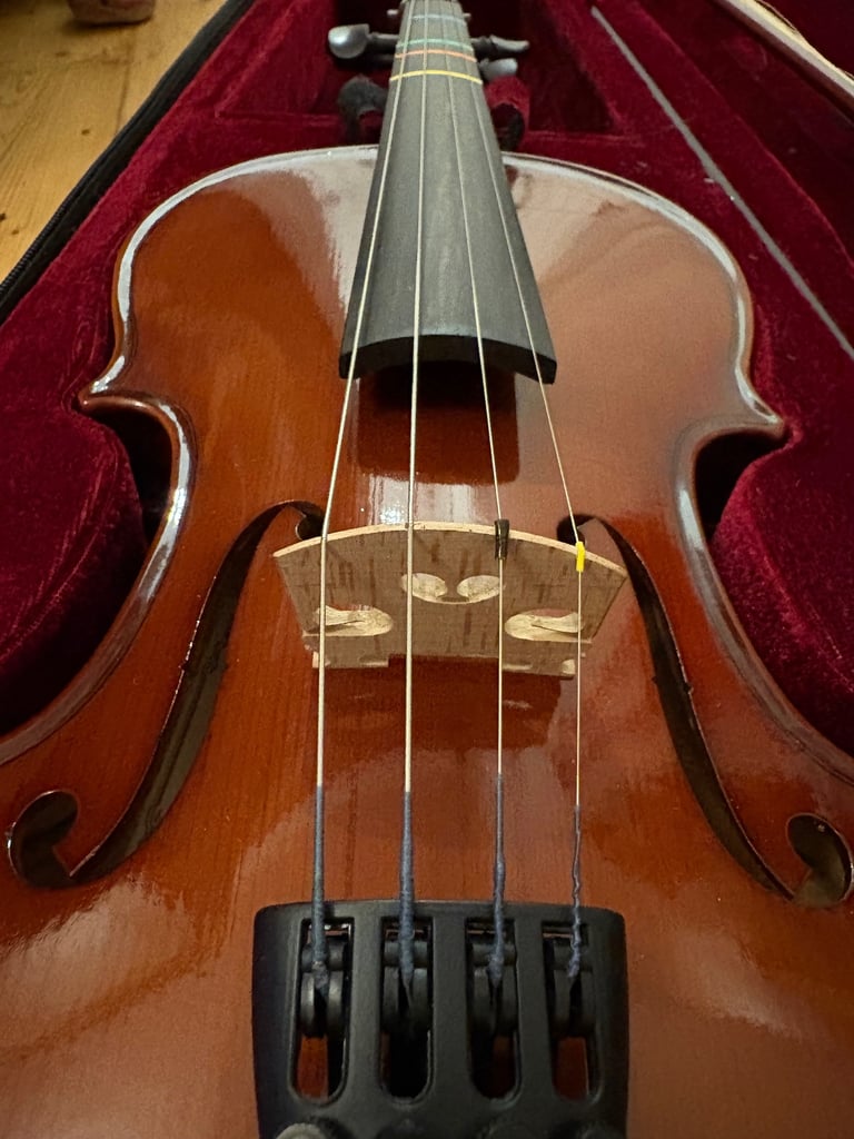 Brand new violin for sale 
