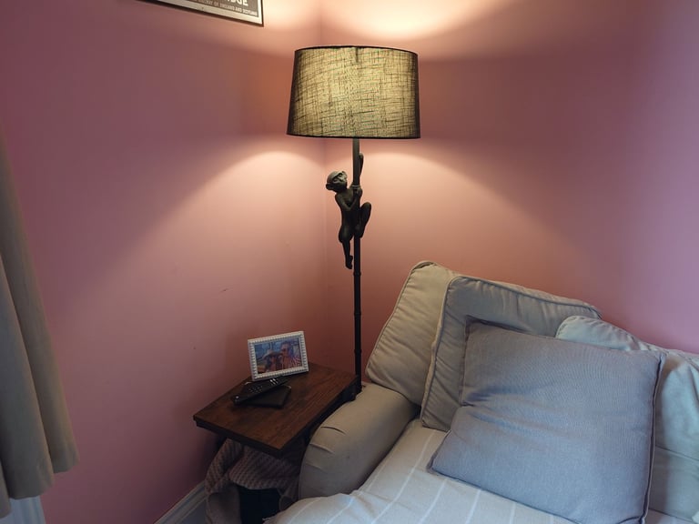 Floor Lamp - Black Monkey RRP £64.99