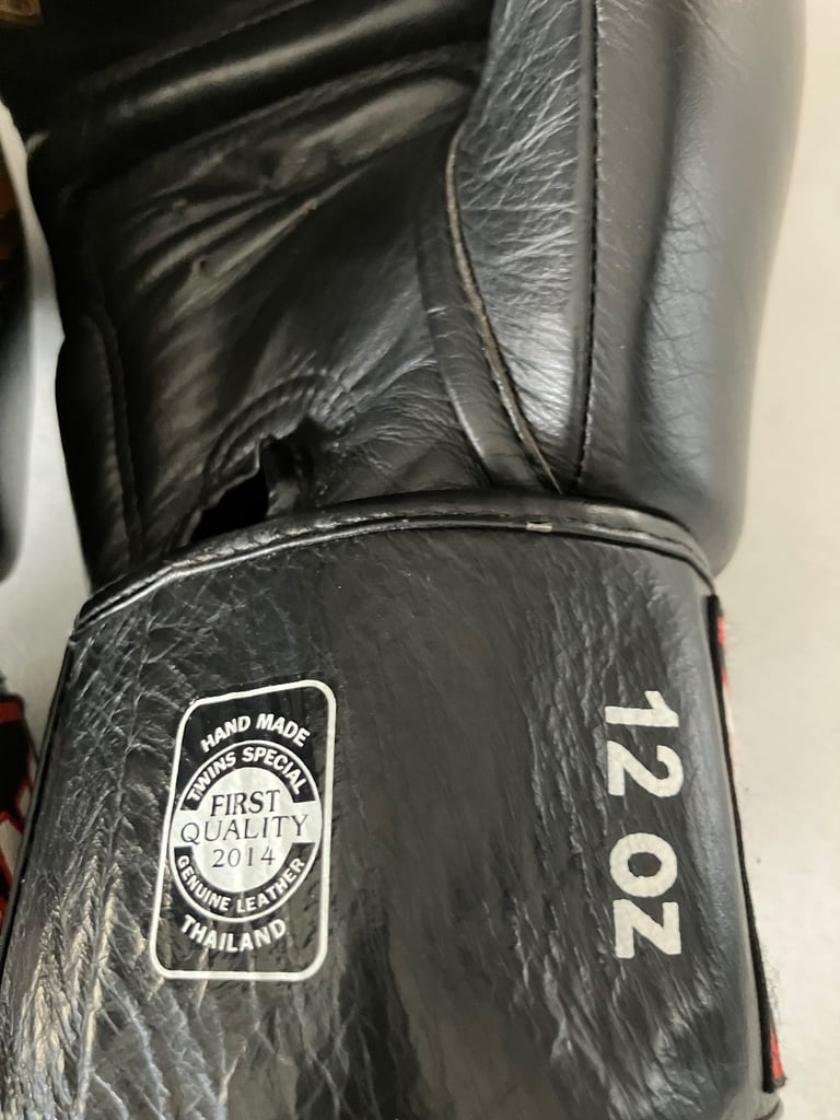 Twins special 12oz boxing gloves 