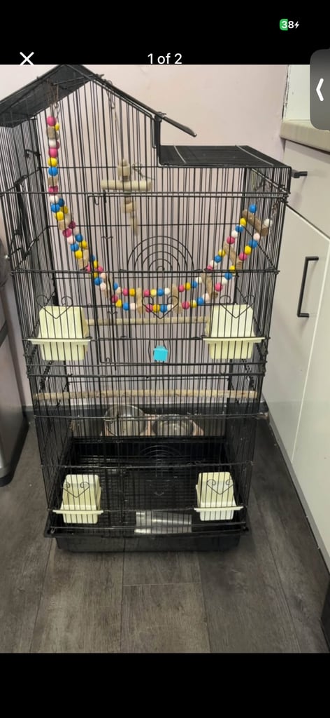 image for Tall bird cage