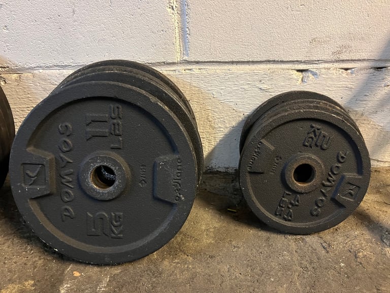 Rack + bench + bar + weights + dumbbell 