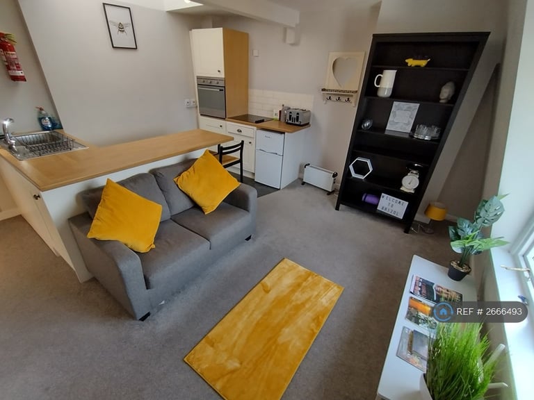 1 bedroom flat in The Mall, Bristol, BS8 (1 bed) (#2666493)