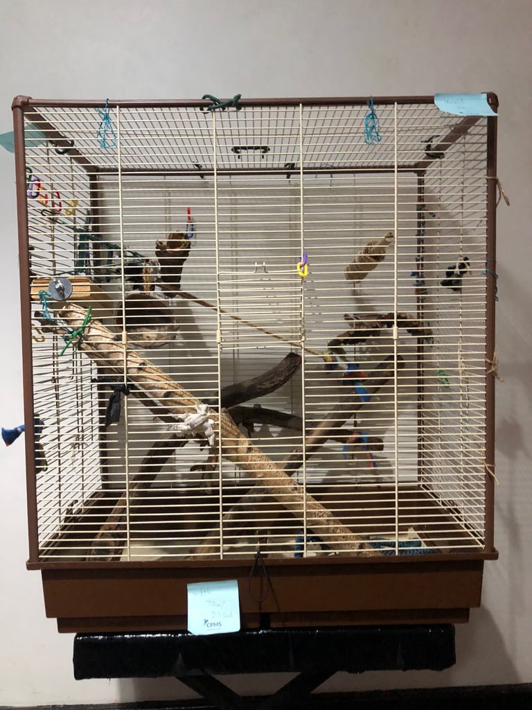 Large cage for birds/rats/degus etc with accessories and food