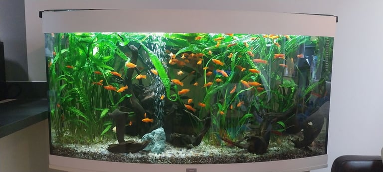 Juwel Tropical Fish Tank.