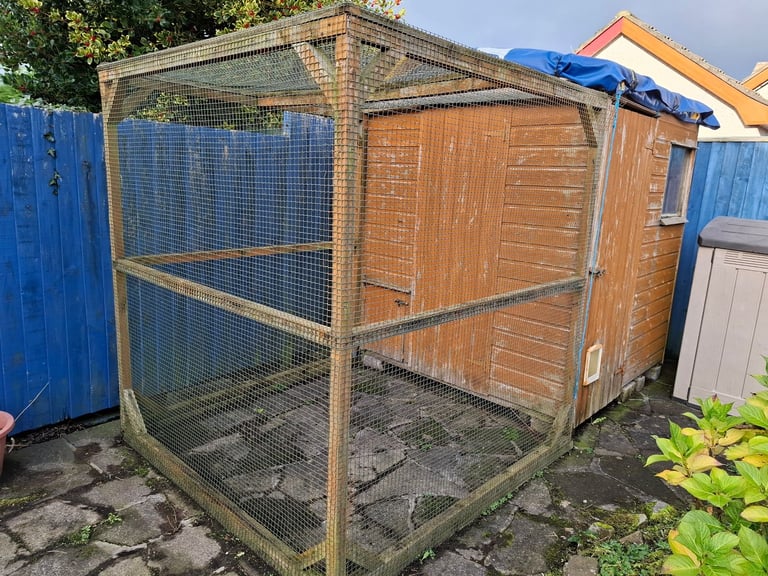 Wooden shed plus enclosure 