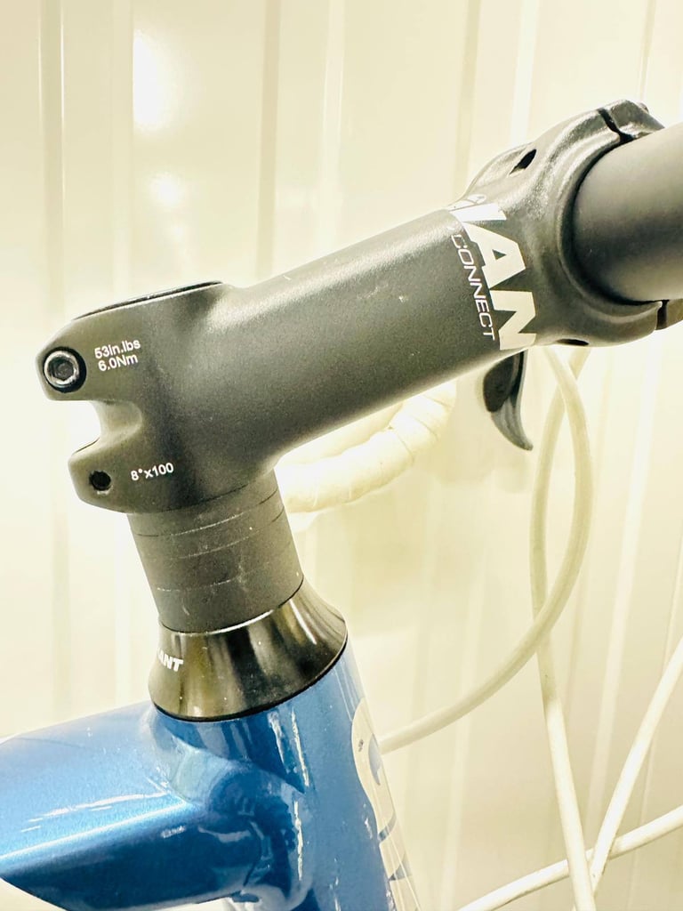 12   GIANT DEFY Size/M Super LW 20 Speed STI Gears Road Bike