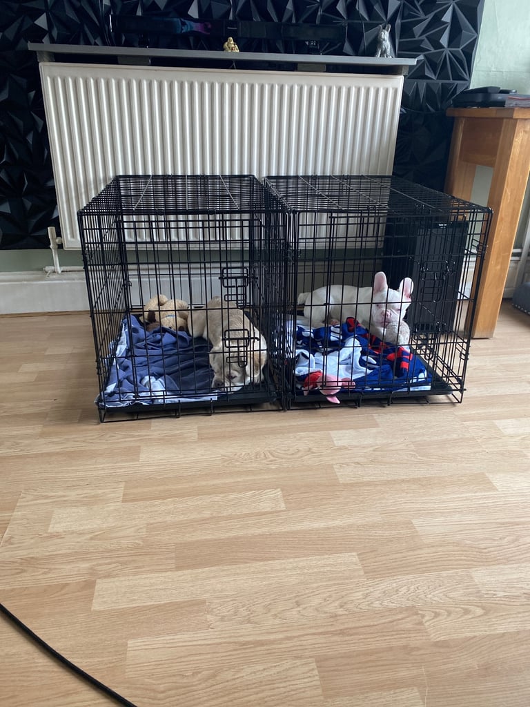 Dog cage 