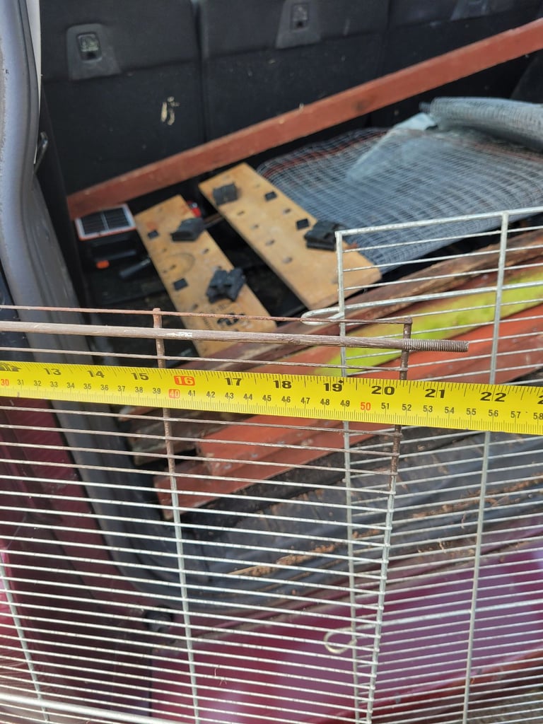 Bird accessories, cage and carry cage