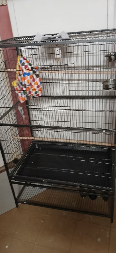 Bird's Large Cage