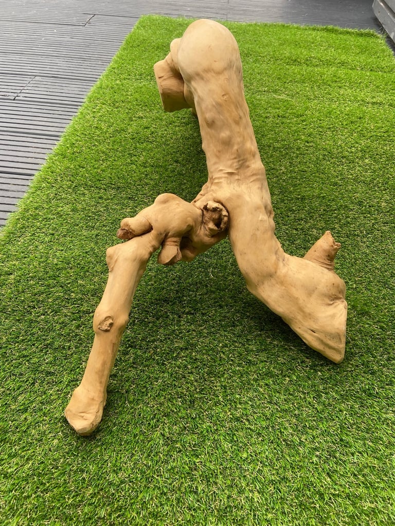 Java wooden branch