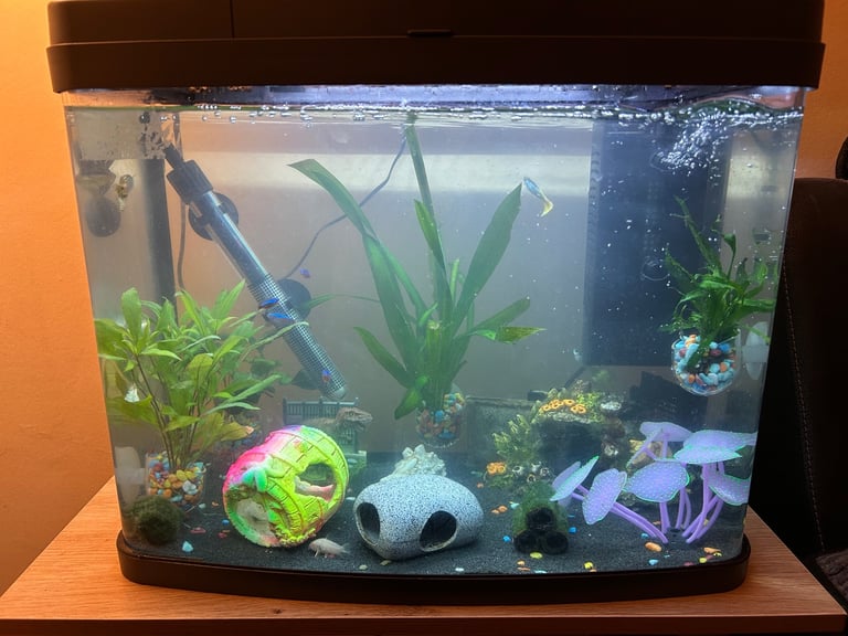 40ltr aquarium