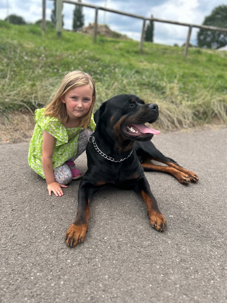 Rusty the Rottweiler 