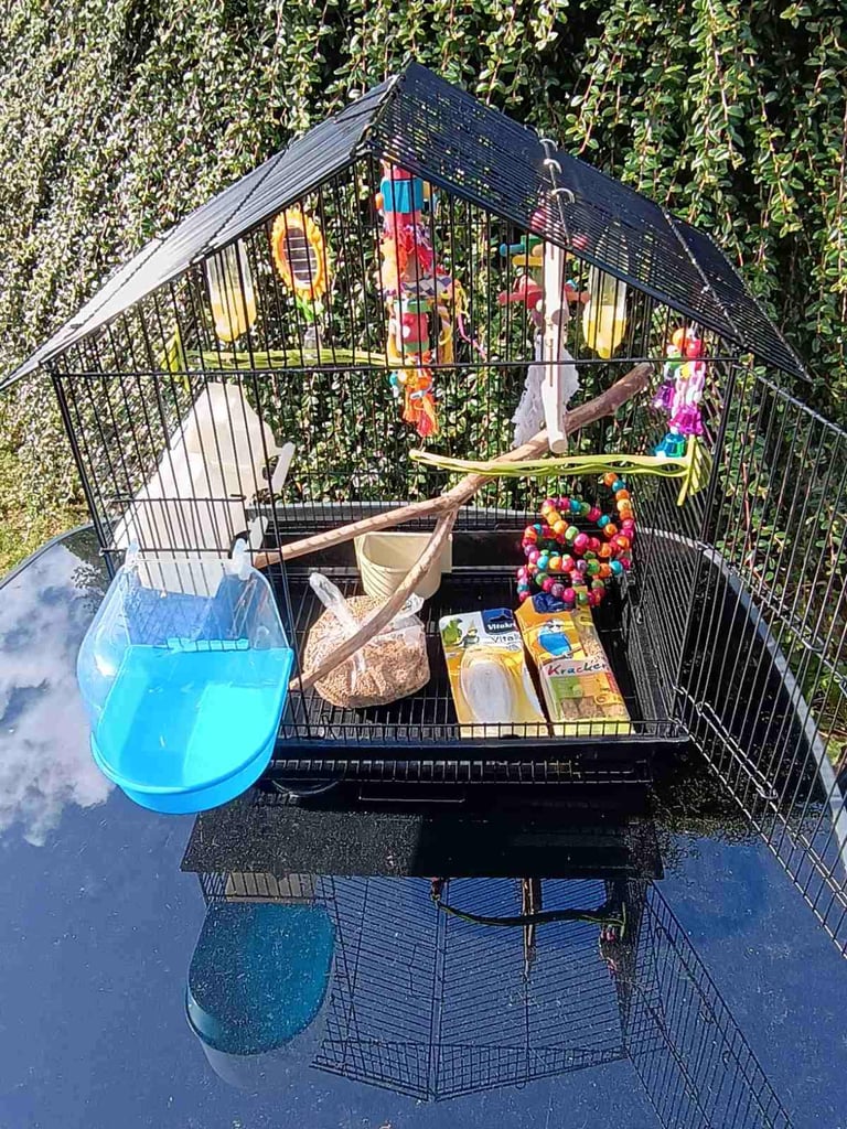 image for Bird Cage for Budgie / Parrot + accessories
