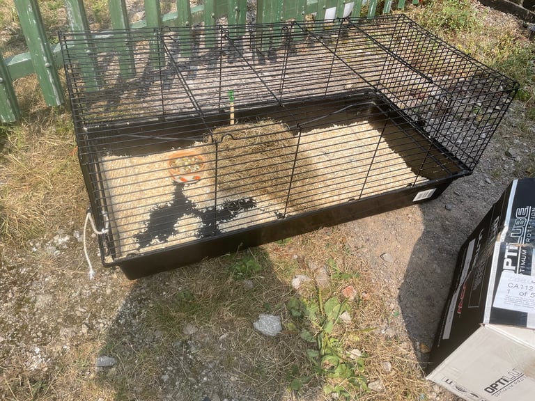 Rabbit cage 