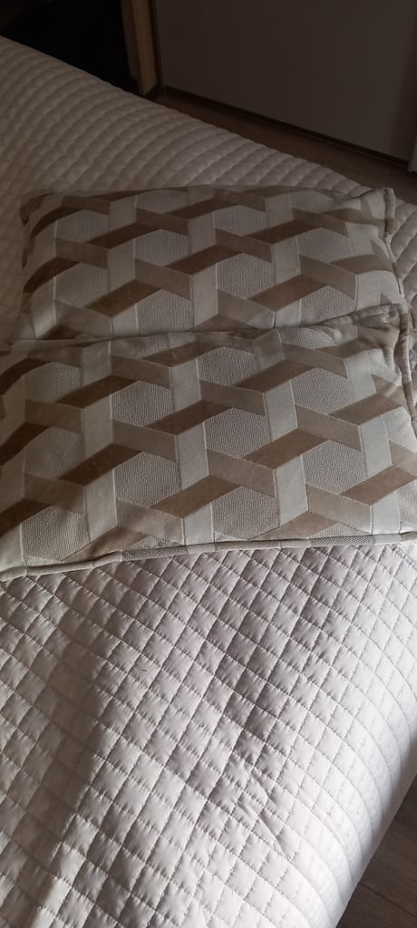 image for 2 Cushions