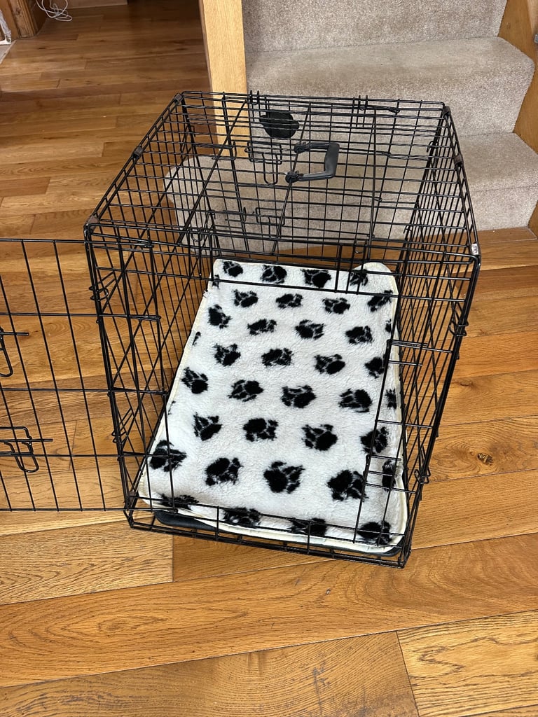 Car dog crate