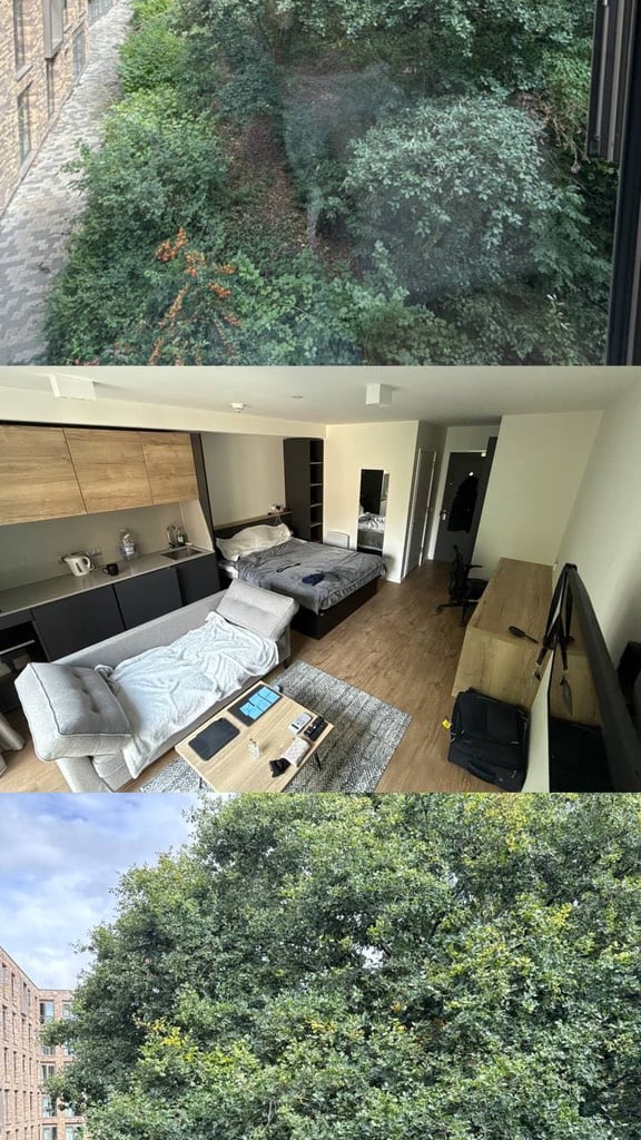Cozy Student Room for Rent!