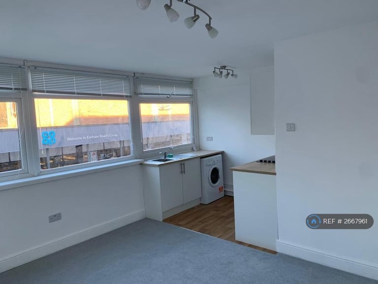 1 bedroom flat in Earlham Road, Norwich, NR2 (1 bed) (#2667961)