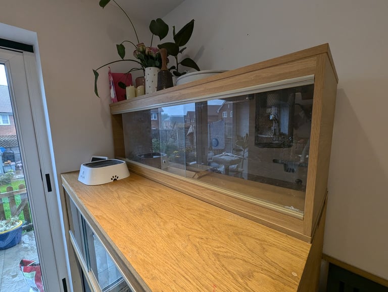 Huge custom reptile vivarium large enclosure 