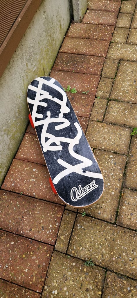 OZBOZZ 17 INCH DECK SKATEBOARD. DINOSAURS ON THE BACK. EXCELLENT.