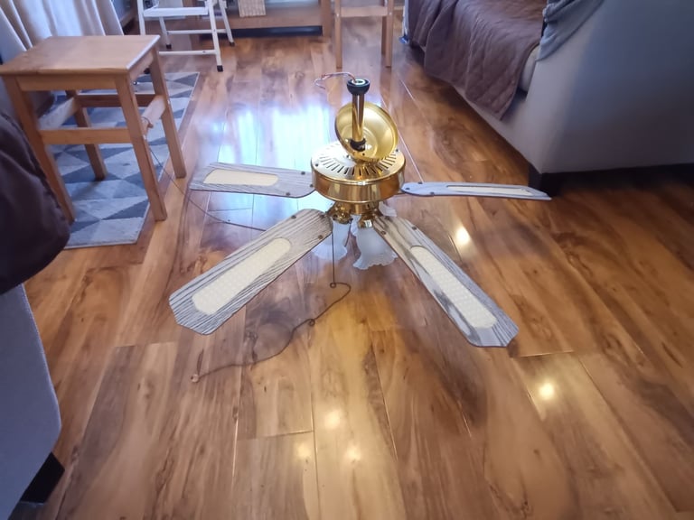 image for Conservatory ceiling lights and fan