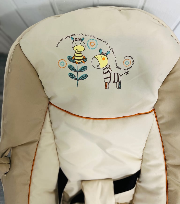 Baby Bouncer