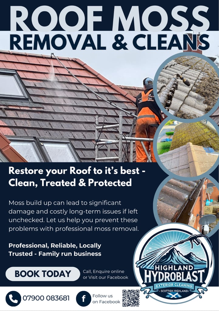 Professional Roof Moss Removal 