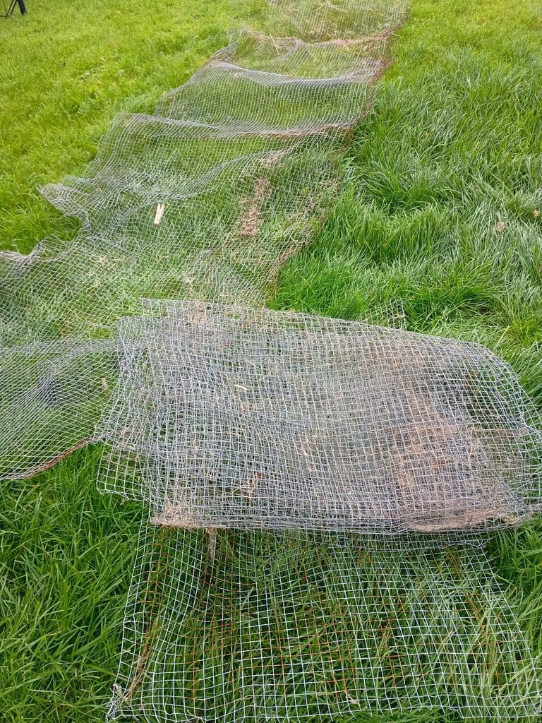 Chicken wire.  Used. 